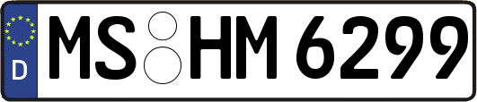 MS-HM6299