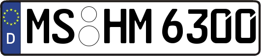 MS-HM6300