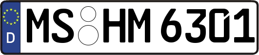 MS-HM6301