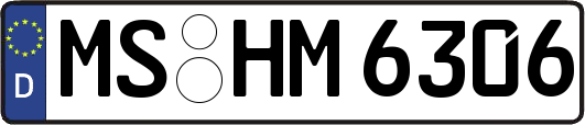 MS-HM6306