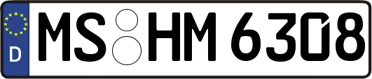 MS-HM6308