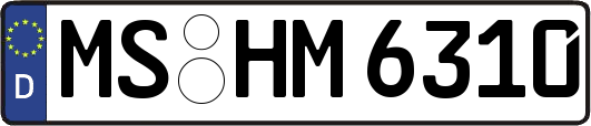 MS-HM6310