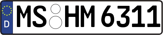 MS-HM6311