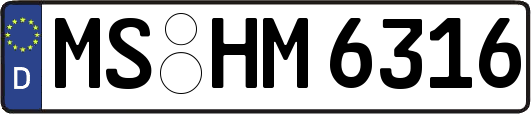 MS-HM6316