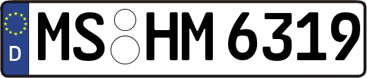 MS-HM6319