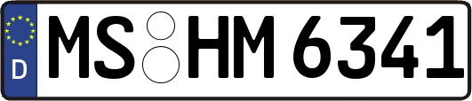 MS-HM6341