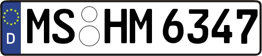 MS-HM6347