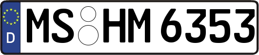 MS-HM6353