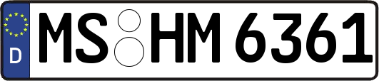 MS-HM6361