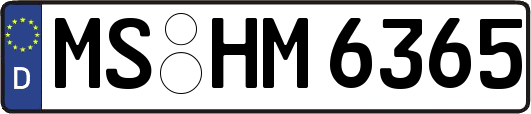 MS-HM6365