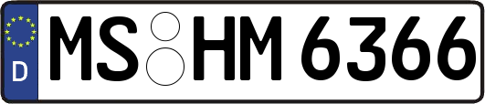 MS-HM6366