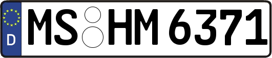 MS-HM6371