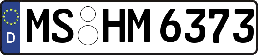 MS-HM6373