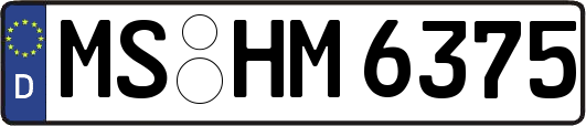MS-HM6375