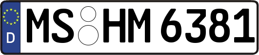 MS-HM6381