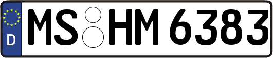 MS-HM6383