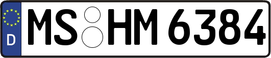 MS-HM6384