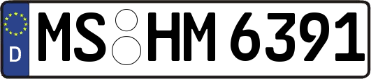 MS-HM6391