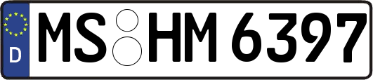 MS-HM6397