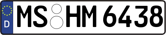 MS-HM6438