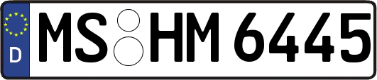 MS-HM6445
