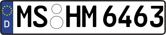 MS-HM6463
