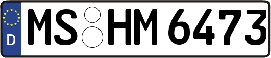 MS-HM6473
