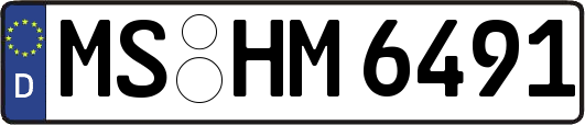 MS-HM6491