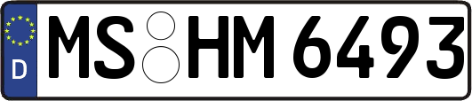 MS-HM6493