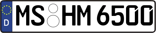 MS-HM6500