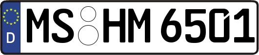 MS-HM6501