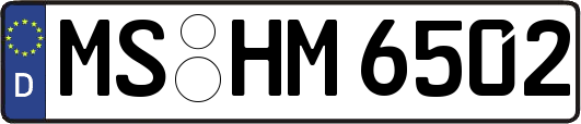 MS-HM6502