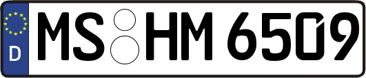 MS-HM6509