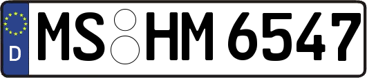 MS-HM6547
