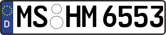 MS-HM6553