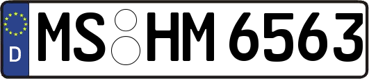 MS-HM6563