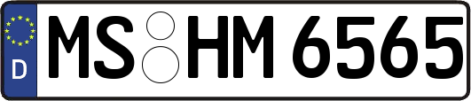 MS-HM6565