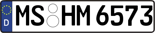 MS-HM6573