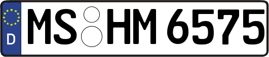 MS-HM6575
