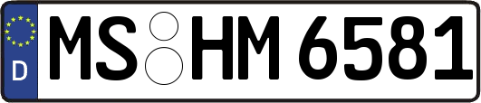 MS-HM6581