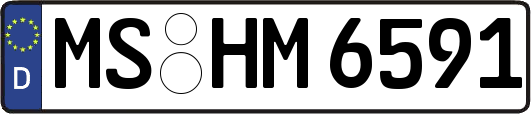 MS-HM6591