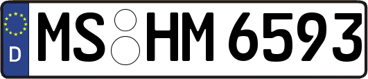 MS-HM6593