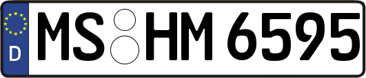 MS-HM6595