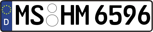 MS-HM6596