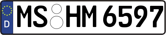 MS-HM6597