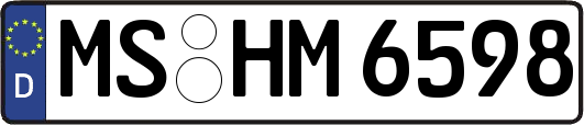 MS-HM6598