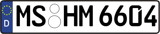 MS-HM6604