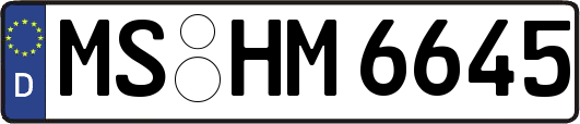 MS-HM6645