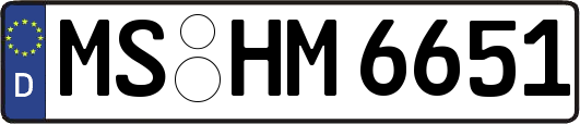 MS-HM6651