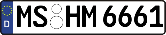 MS-HM6661